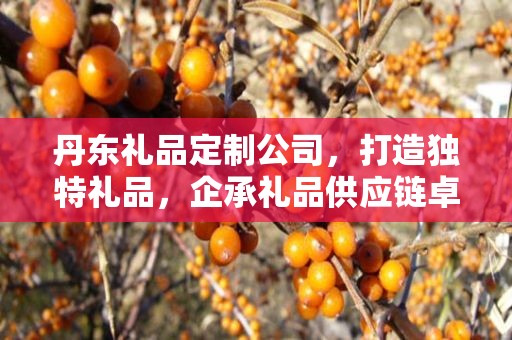 丹东礼品定制公司，打造独特礼品，企承礼品供应链卓越服务